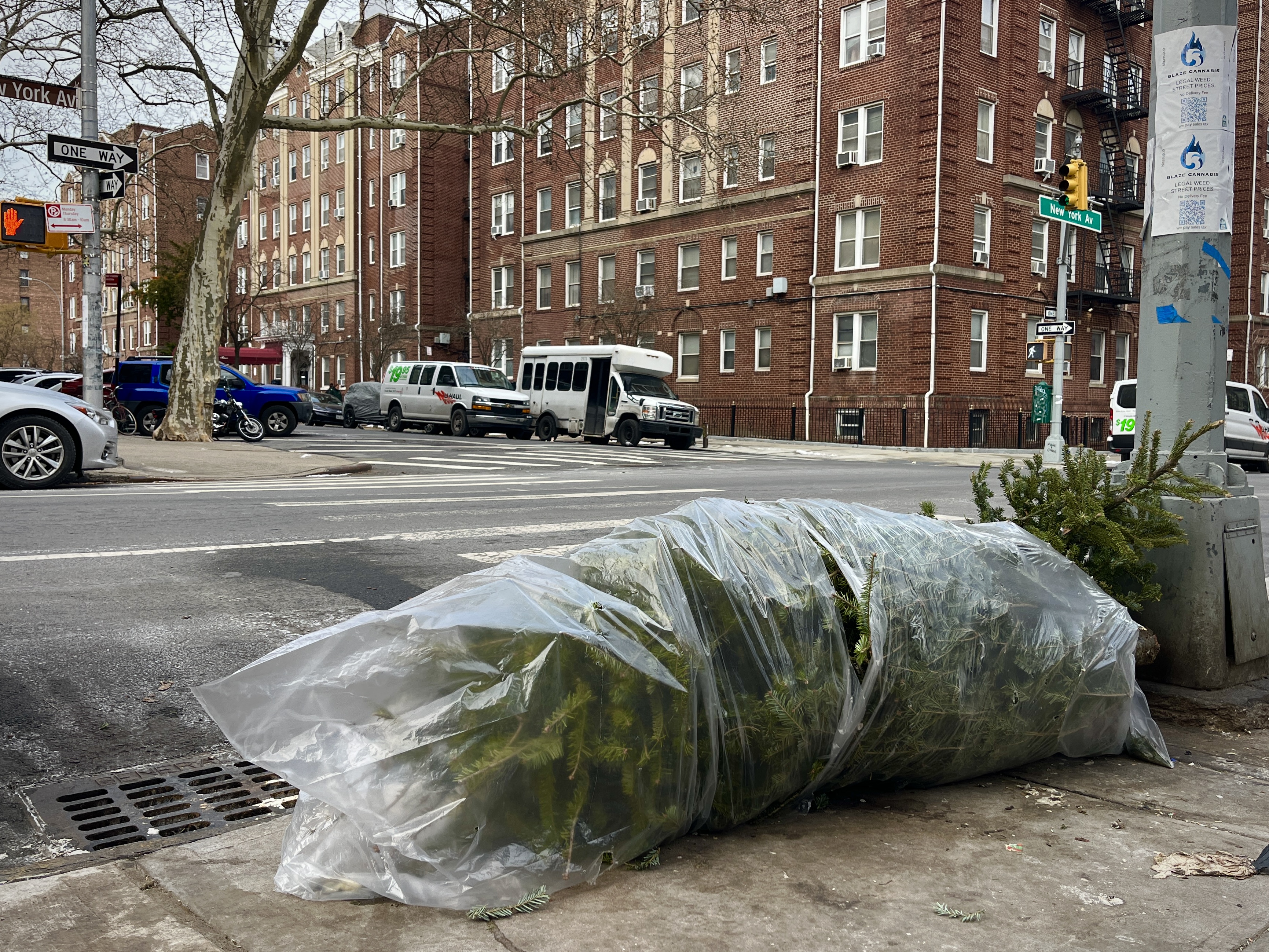 A Christmas tree sits on the sidewalk, furled up in a plastic tarp.