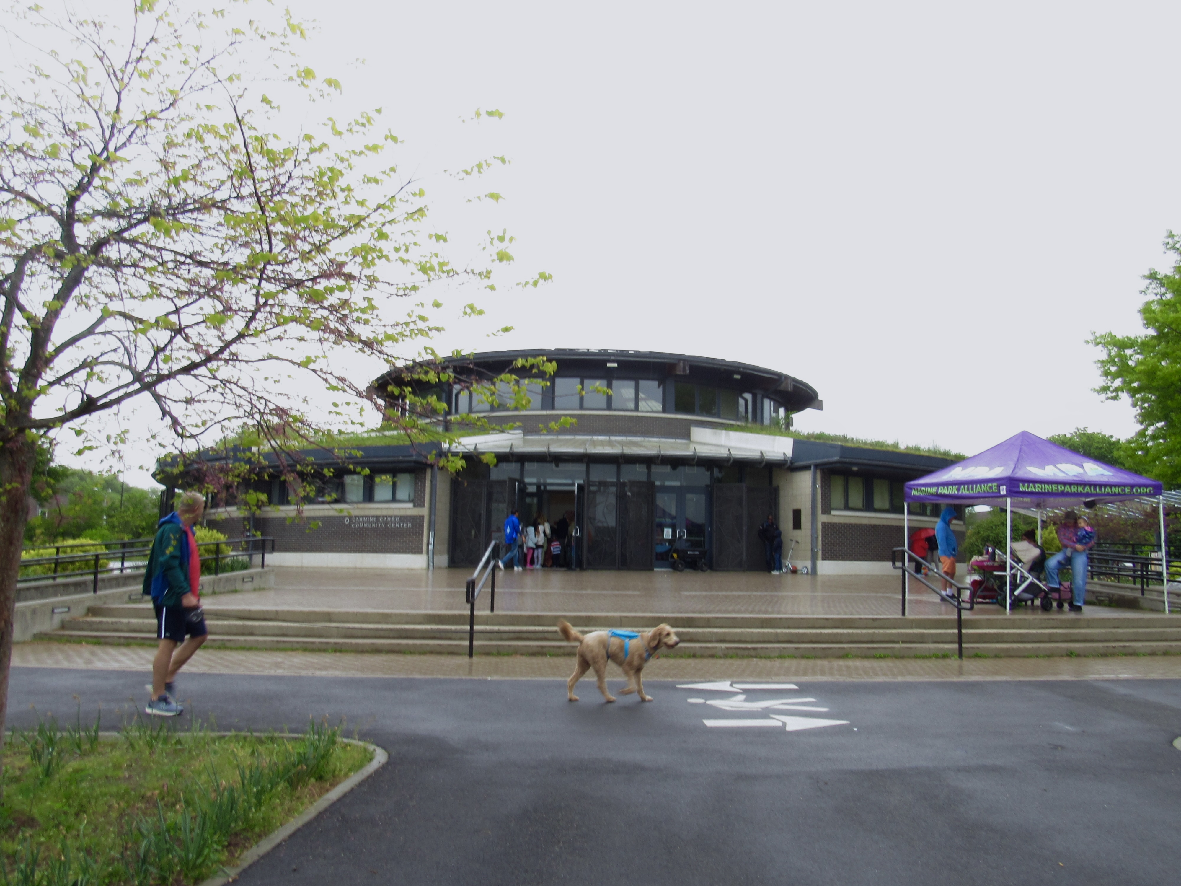 Pedestrians walk outside a community center. So does a dog on a leash.